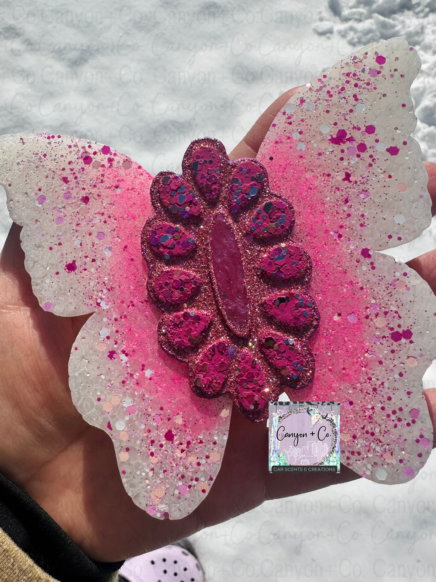 Pink Concho Butterfly